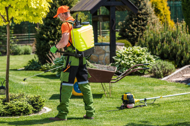 Lawn Pest Control in Horseshoe Bay, TX